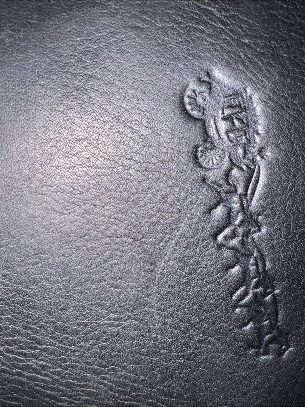 Claire Chase IP 300 case in black leather. - Picture 5 of 7